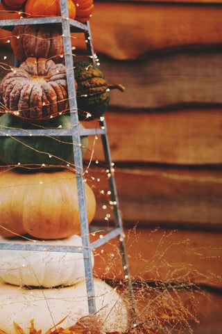 fairy lights ideas for fall